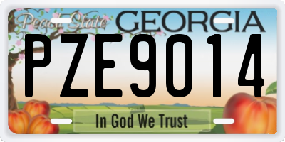 GA license plate PZE9014