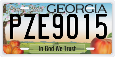 GA license plate PZE9015