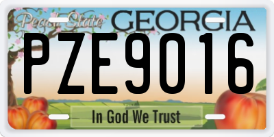 GA license plate PZE9016