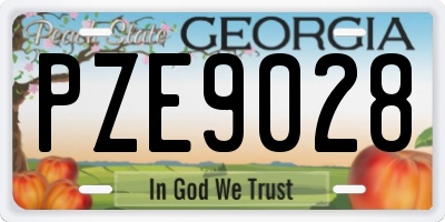 GA license plate PZE9028