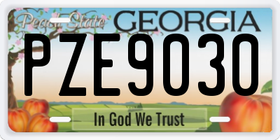 GA license plate PZE9030