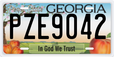 GA license plate PZE9042