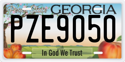 GA license plate PZE9050