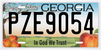 GA license plate PZE9054