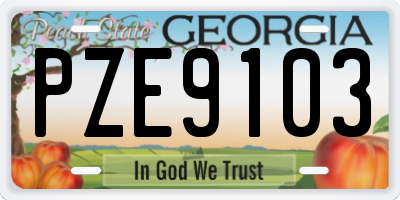 GA license plate PZE9103