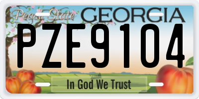 GA license plate PZE9104