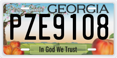GA license plate PZE9108