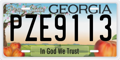 GA license plate PZE9113