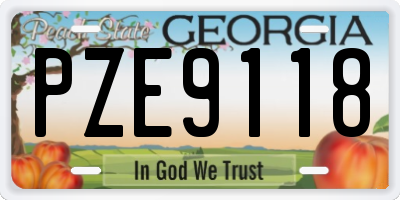 GA license plate PZE9118