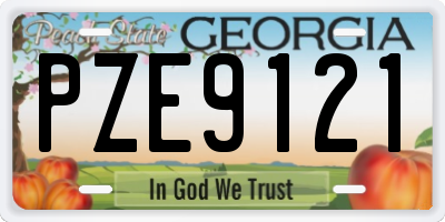 GA license plate PZE9121