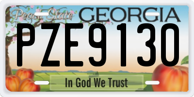 GA license plate PZE9130