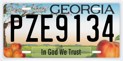 GA license plate PZE9134