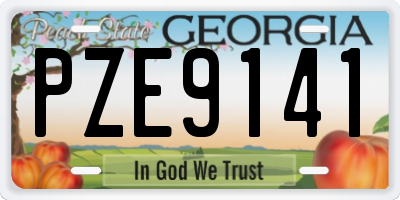 GA license plate PZE9141