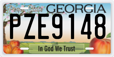 GA license plate PZE9148
