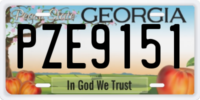 GA license plate PZE9151
