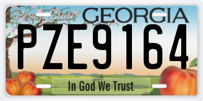 GA license plate PZE9164