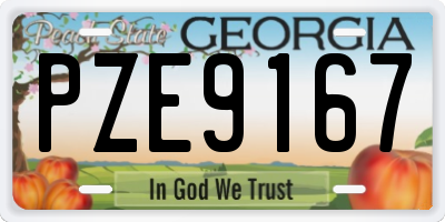 GA license plate PZE9167