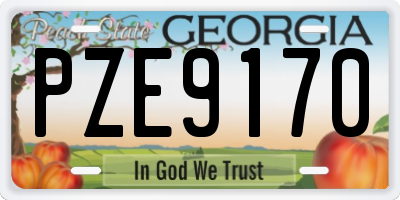 GA license plate PZE9170
