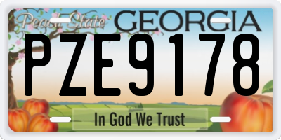 GA license plate PZE9178