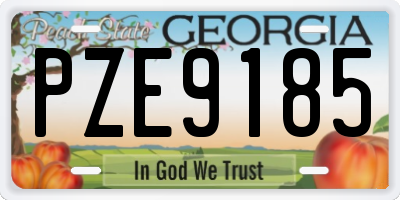 GA license plate PZE9185