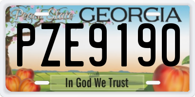 GA license plate PZE9190
