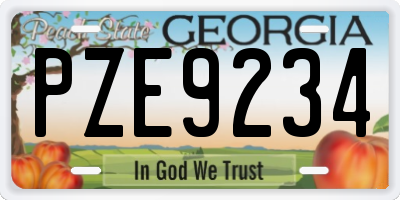 GA license plate PZE9234