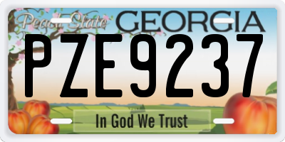 GA license plate PZE9237