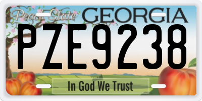 GA license plate PZE9238