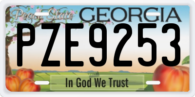 GA license plate PZE9253