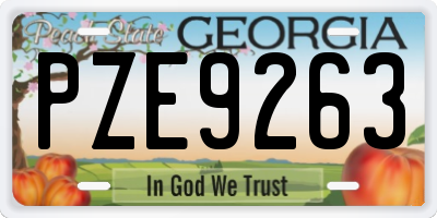 GA license plate PZE9263