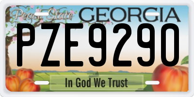 GA license plate PZE9290