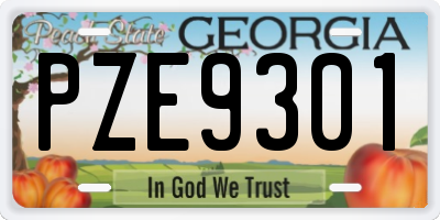 GA license plate PZE9301
