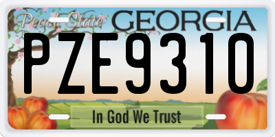 GA license plate PZE9310