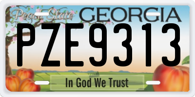 GA license plate PZE9313