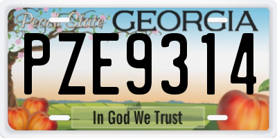 GA license plate PZE9314