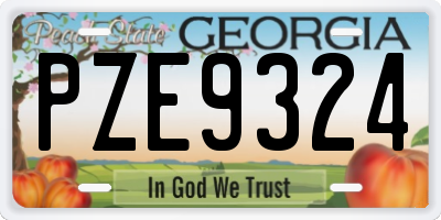 GA license plate PZE9324