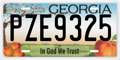 GA license plate PZE9325