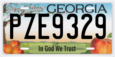 GA license plate PZE9329