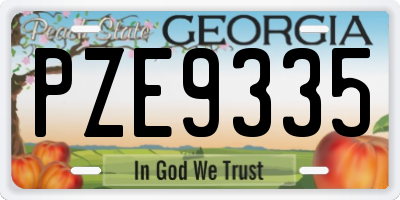 GA license plate PZE9335