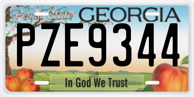 GA license plate PZE9344