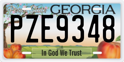 GA license plate PZE9348