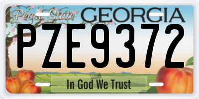 GA license plate PZE9372
