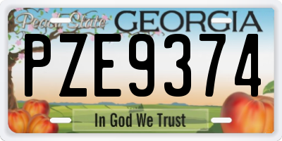 GA license plate PZE9374