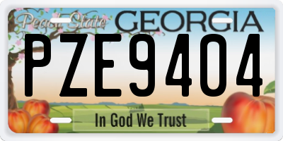 GA license plate PZE9404