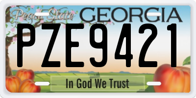 GA license plate PZE9421