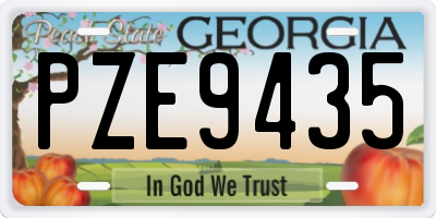 GA license plate PZE9435