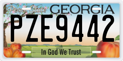 GA license plate PZE9442