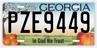 GA license plate PZE9449