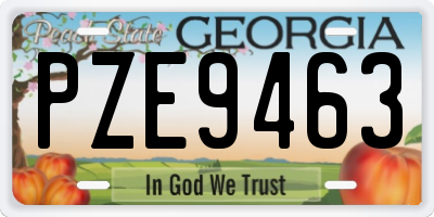GA license plate PZE9463