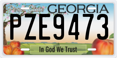 GA license plate PZE9473